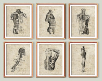 Art Off Massage Msk